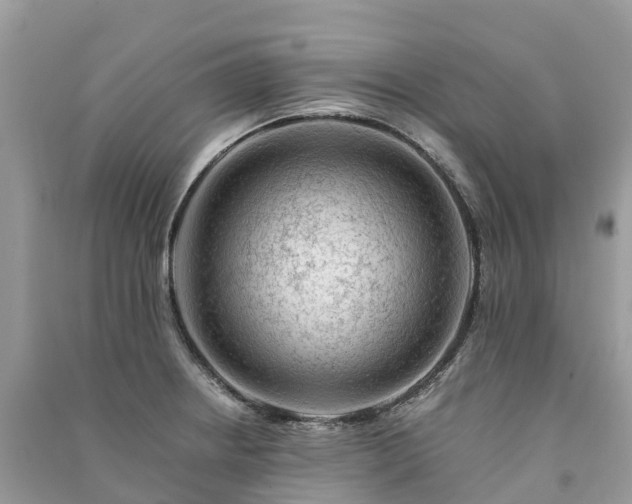 X0000091011234200708091554