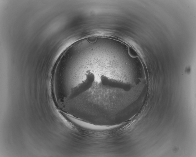 X0000091011235200708091554