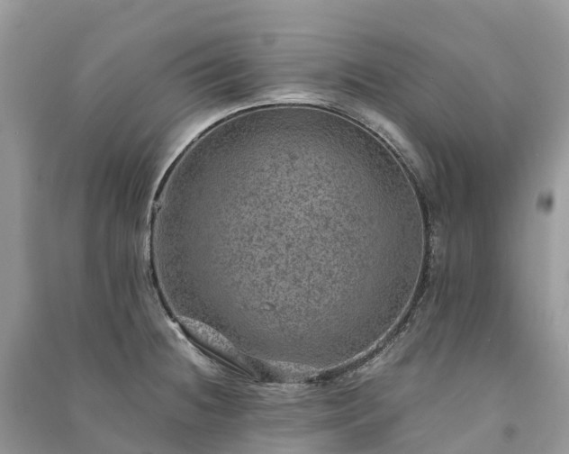 X0000091011236200708091554