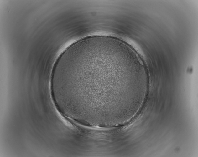 X0000091011237200708091554