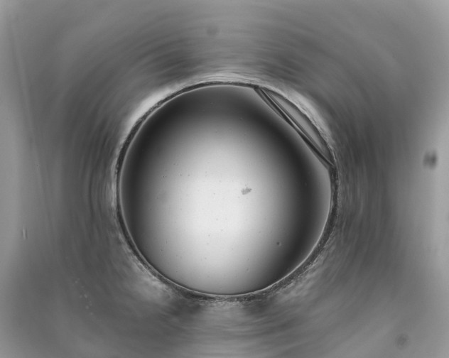 X0000091011238200708091554
