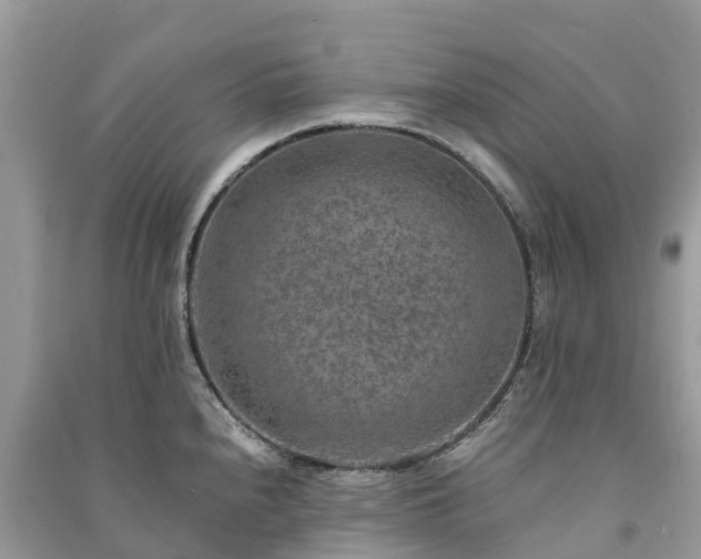 X0000091011240200708091554