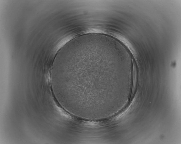 X0000091011241200708091554