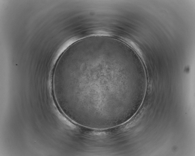 X0000091011243200708091554