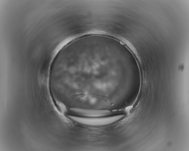 X0000091011245200708091554