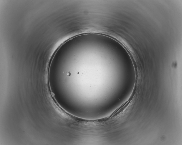 X0000091011246200708091554