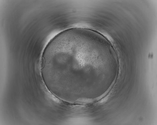 X0000091011248200708091554