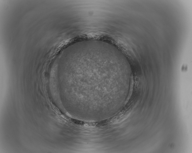 X0000091011249200708091554
