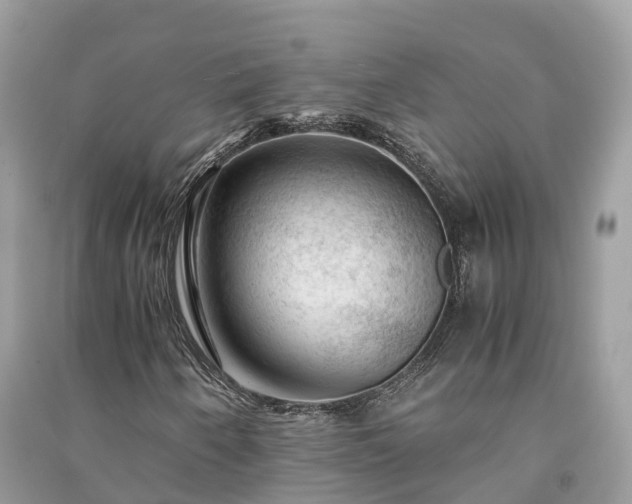 X0000091011250200708091554