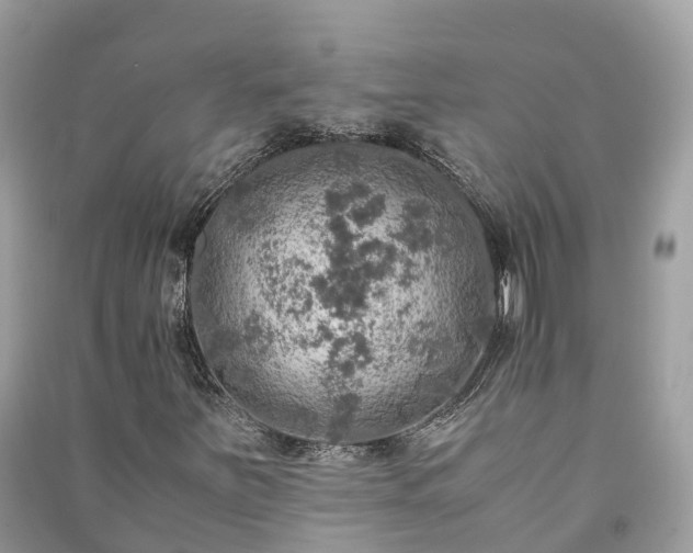 X0000091011251200708091554