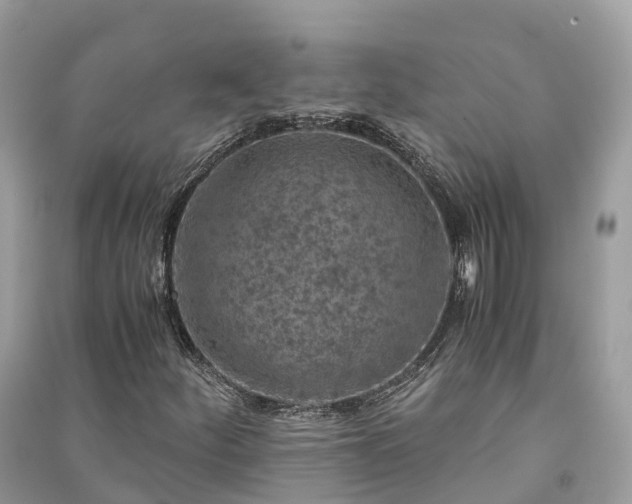 X0000091011252200708091554