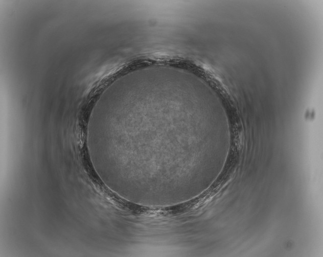 X0000091011253200708091554