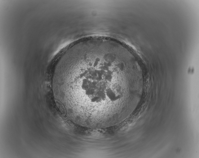 X0000091011255200708091554