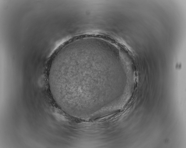 X0000091011256200708091554