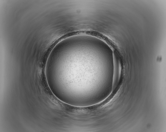X0000091011257200708091554