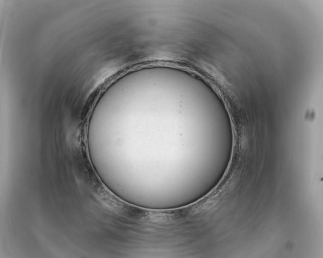 X0000091011258200708091554