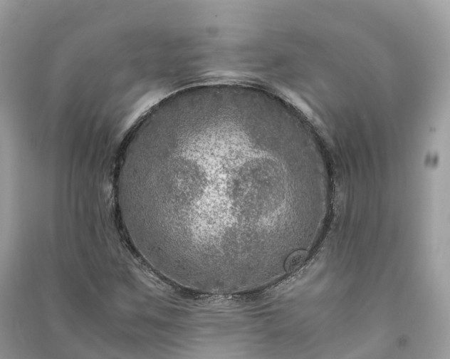X0000091011259200708091554