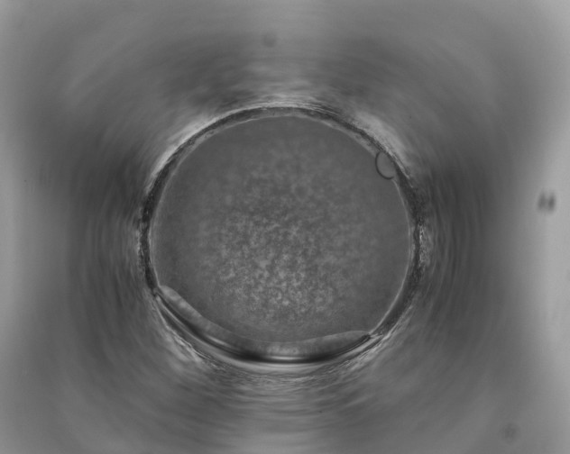 X0000091011260200708091554
