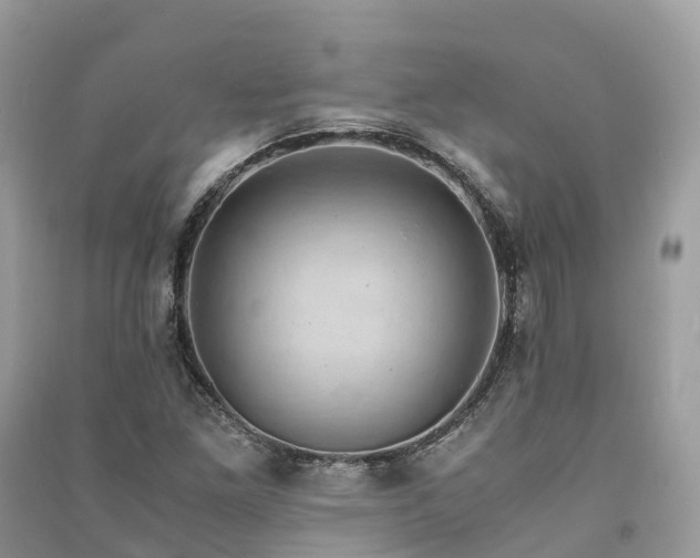 X0000091011261200708091554