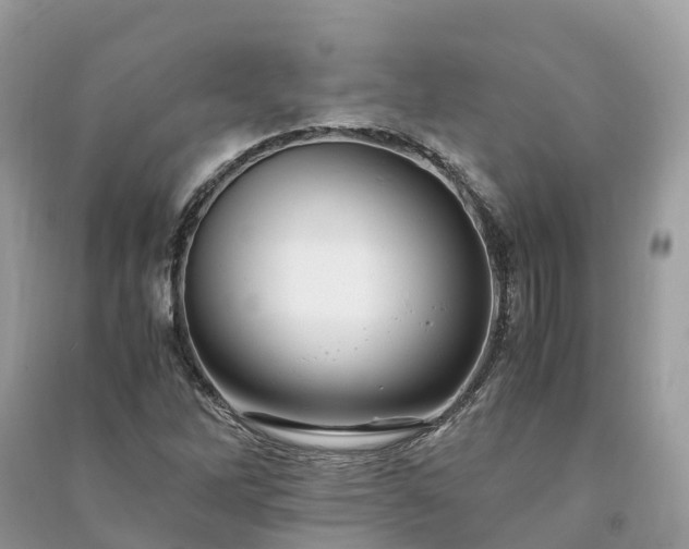 X0000091011262200708091554