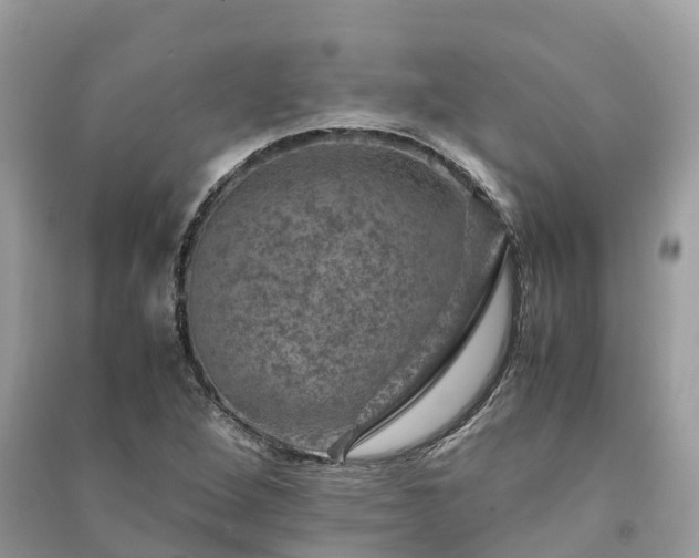 X0000091011264200708091554