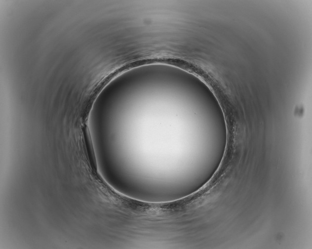 X0000091011265200708091554