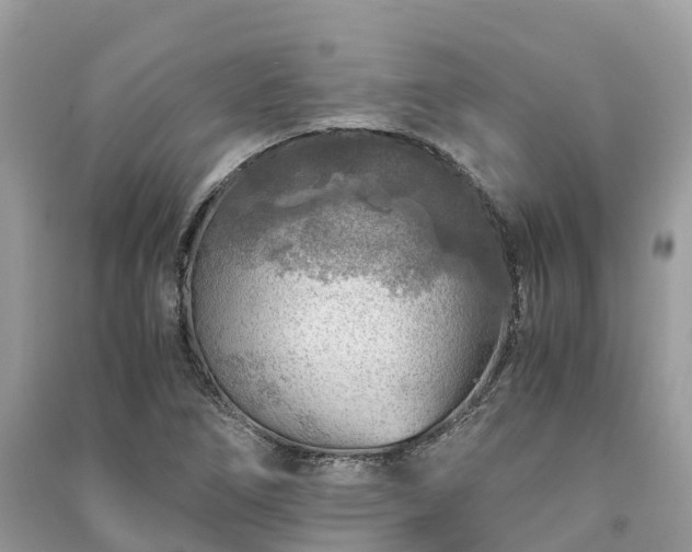 X0000091011266200708091554