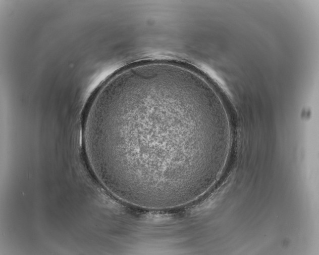 X0000091011269200708091554