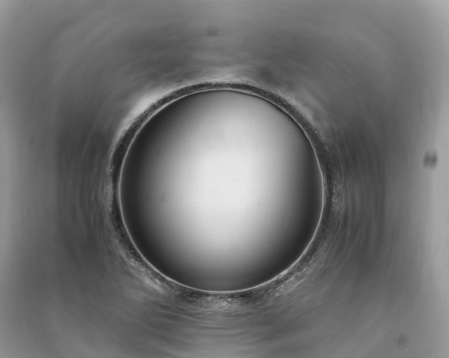 X0000091011270200708091554