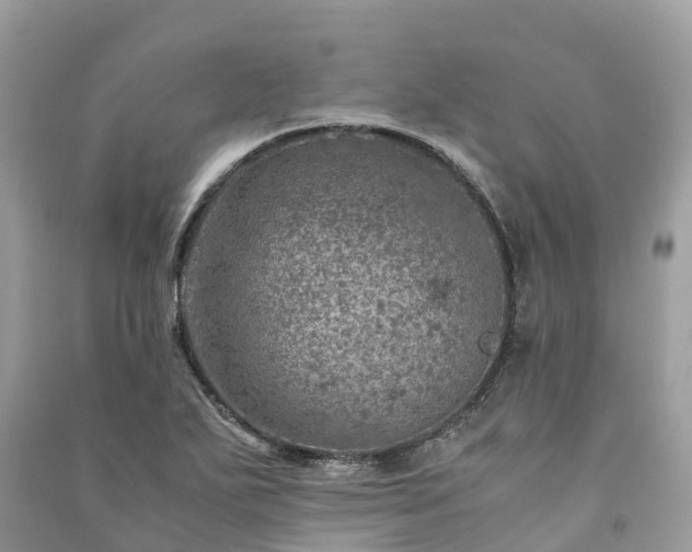X0000091011271200708091554