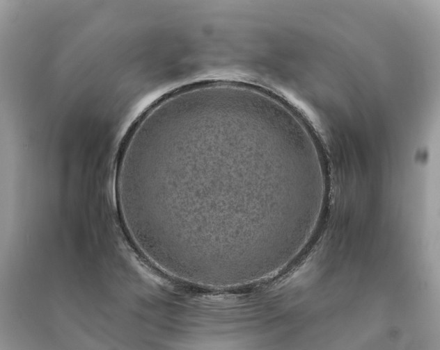 X0000091011272200708091554