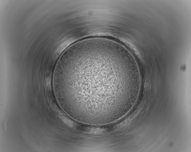 X0000091011273200708091554