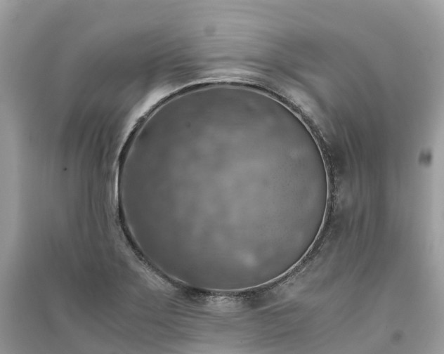 X0000091011275200708091554