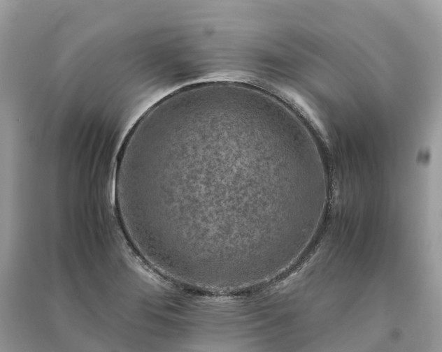 X0000091011276200708091554