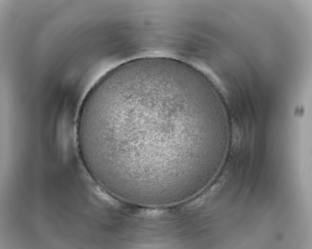 X0000091011278200708091554