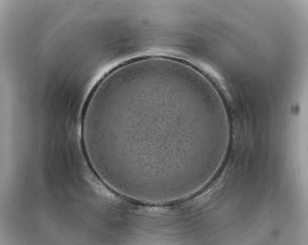 X0000091011280200708091553