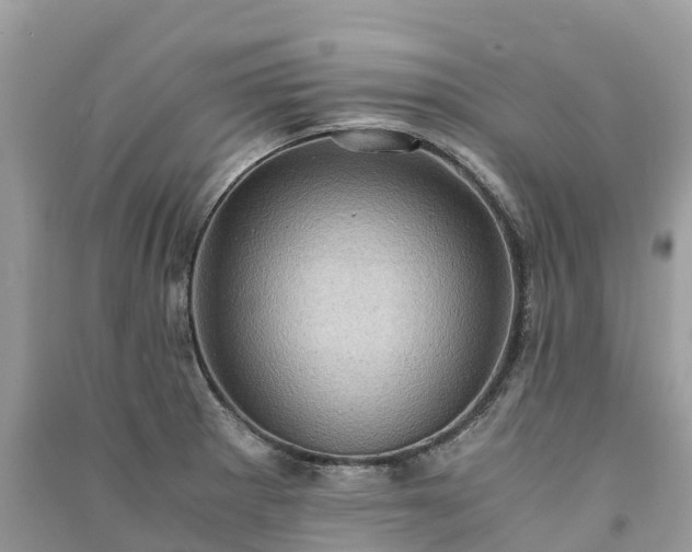 X0000091011281200708091553