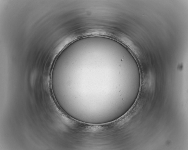 X0000091011282200708091553