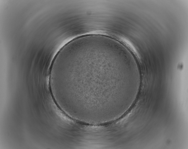 X0000091011284200708091553