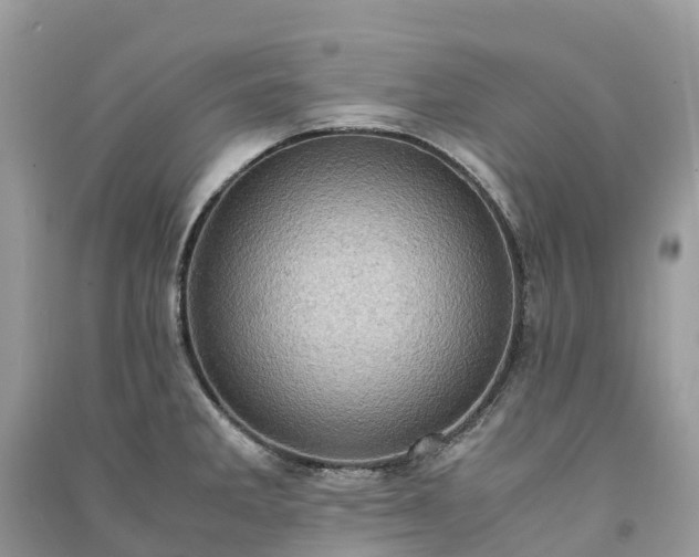 X0000091011285200708091553