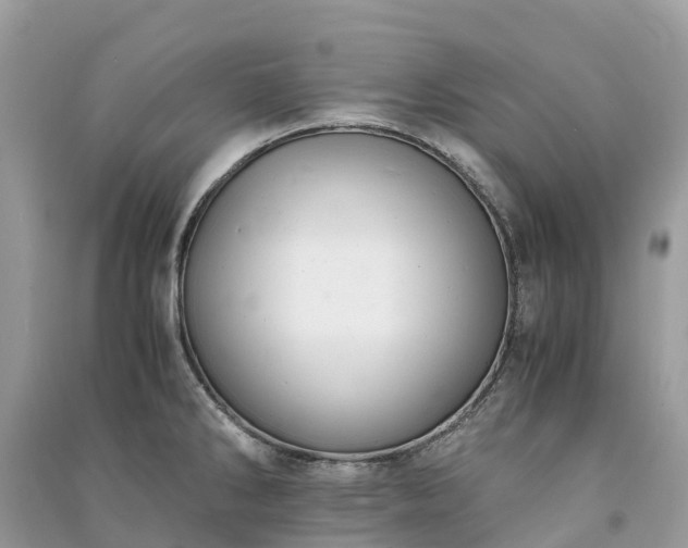 X0000091011286200708091553
