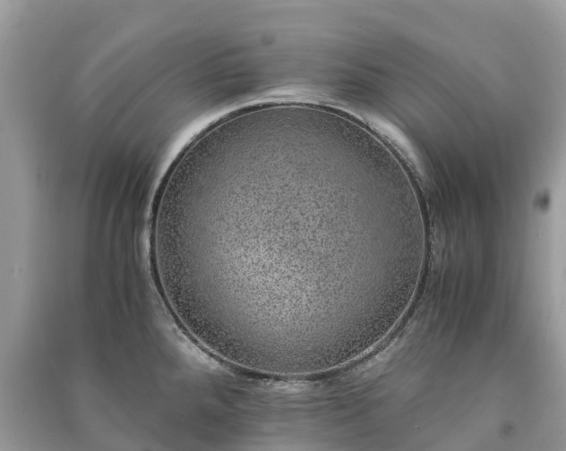 X0000091011288200708091553