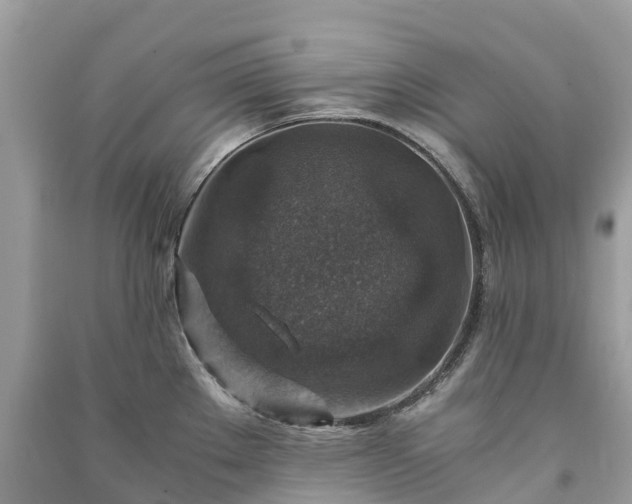 X0000091011289200708091553