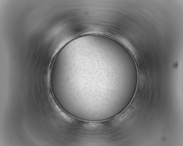 X0000091011290200708091553
