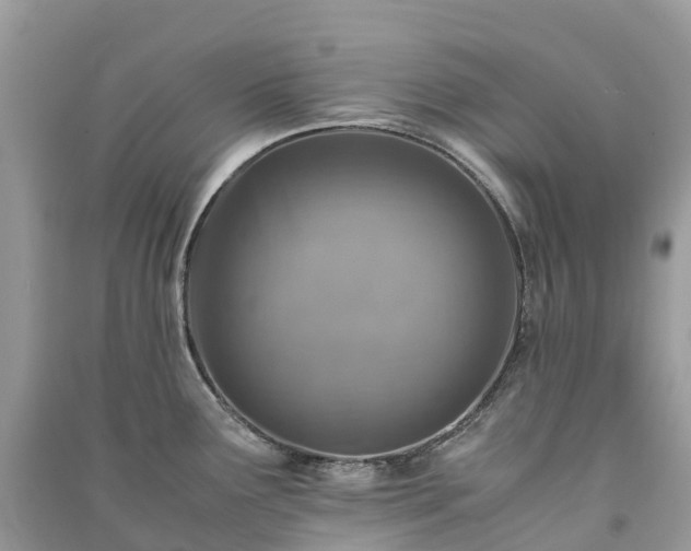 X0000091011291200708091553