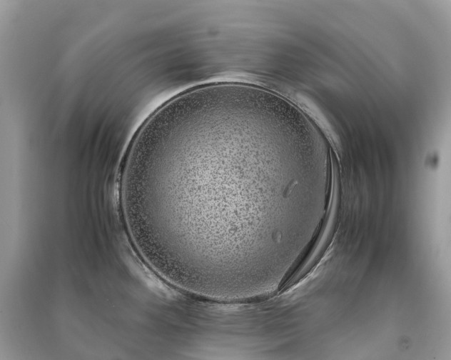 X0000091011292200708091553