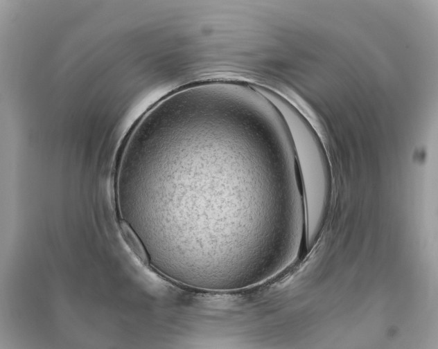 X0000091011293200708091553