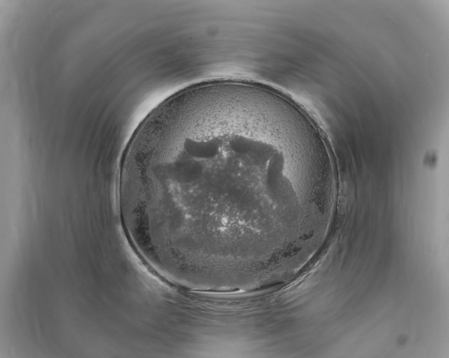 X0000091011295200708091553