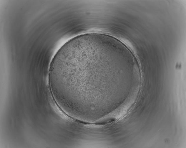 X0000091011296200708091553