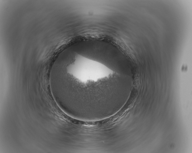 X0000091011297200708091553